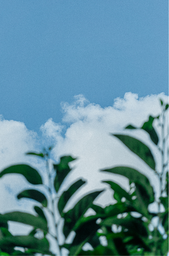 Céu azul