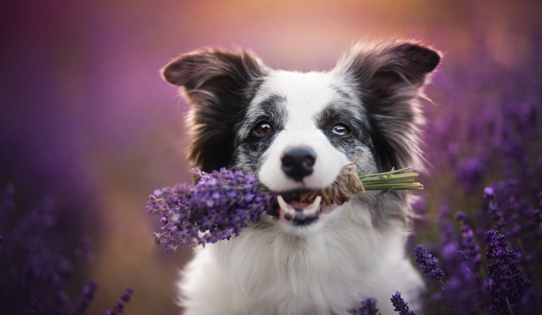 Evento corporativo 3